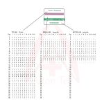 دستگاه لیبل زن سه خط STLG-102 - تصویر 2
